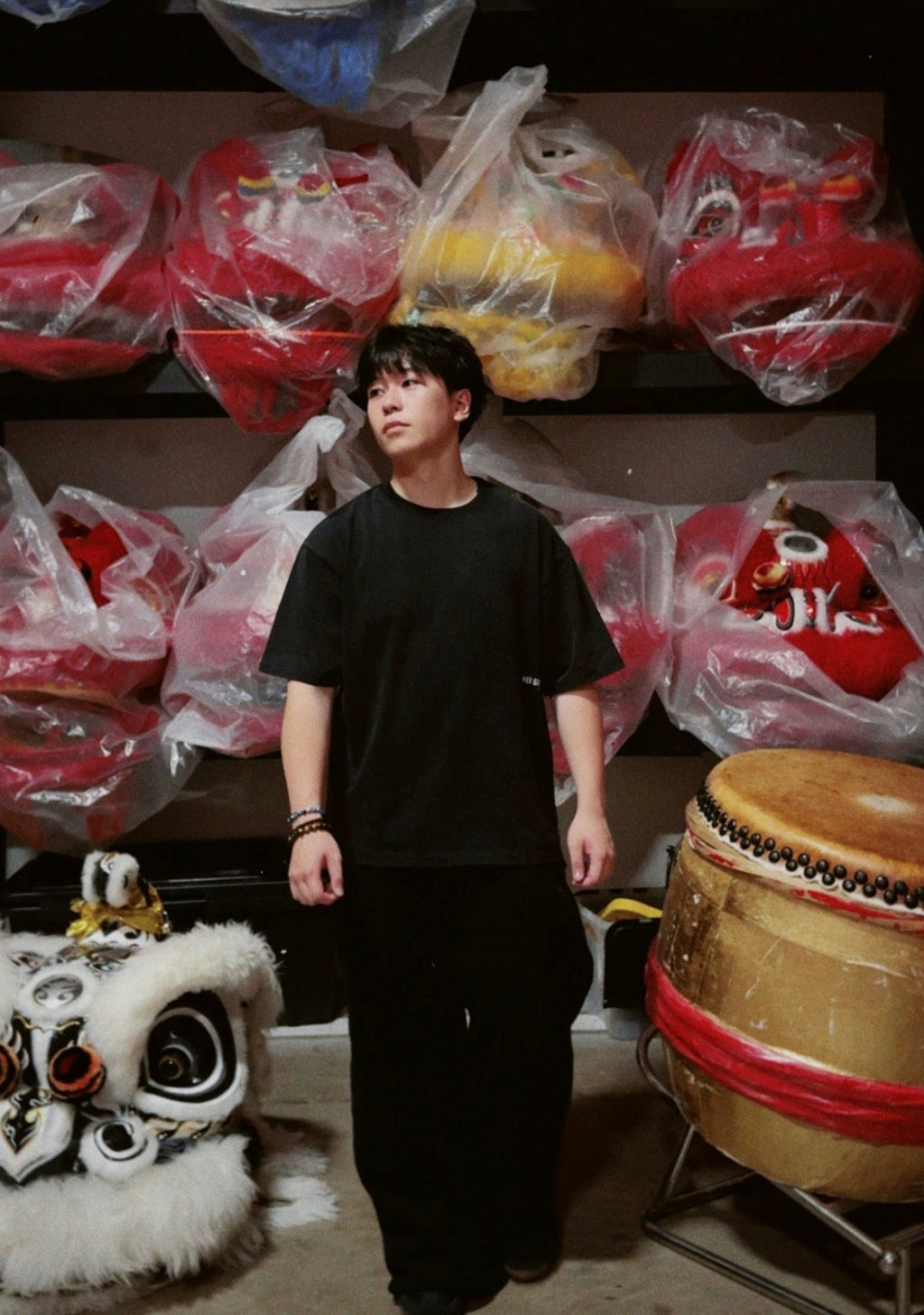 AWAKENED LION (2026)